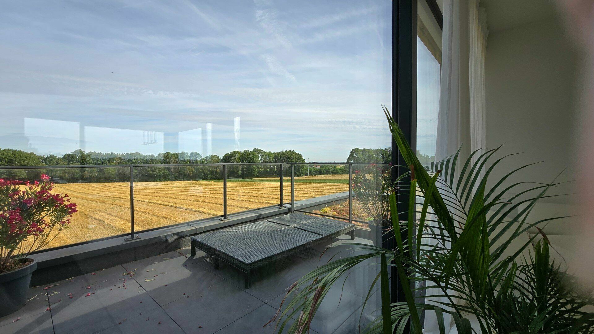 Appartement &agrave; louer &agrave; STERREBEEK