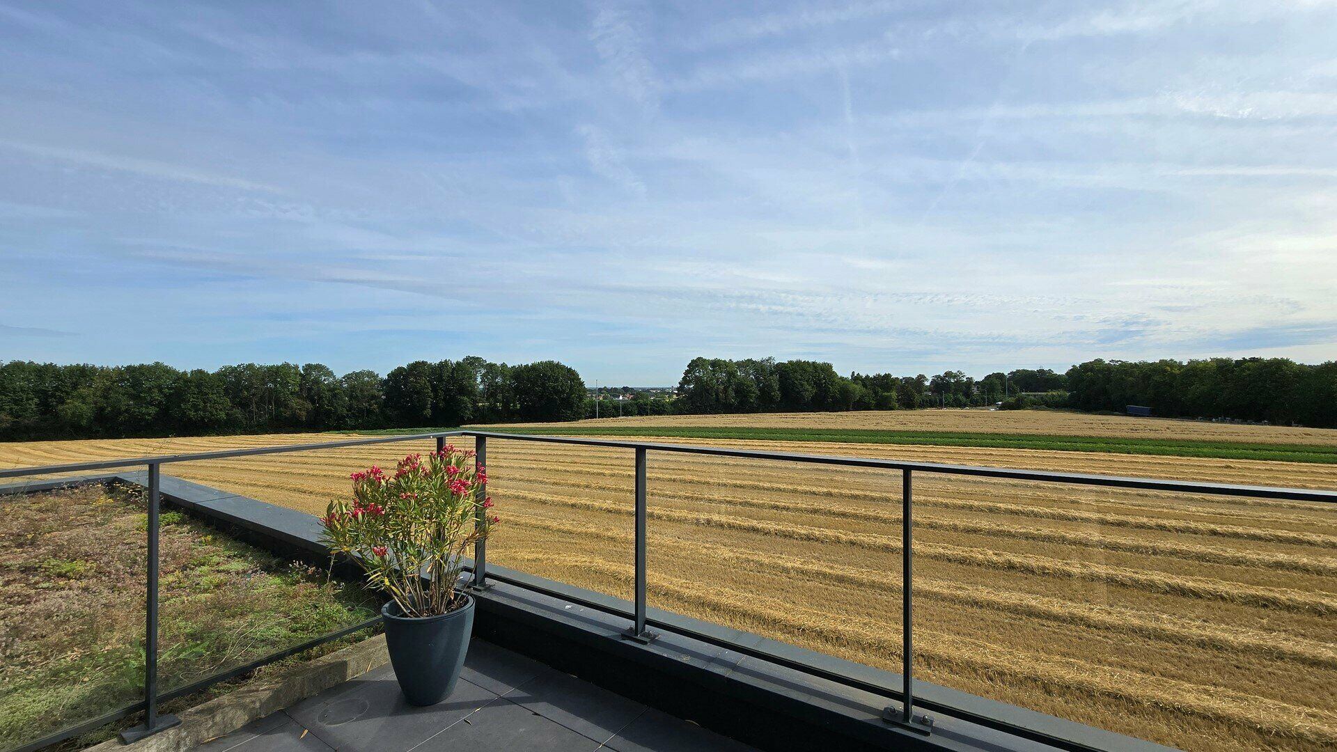 Appartement &agrave; louer &agrave; STERREBEEK
