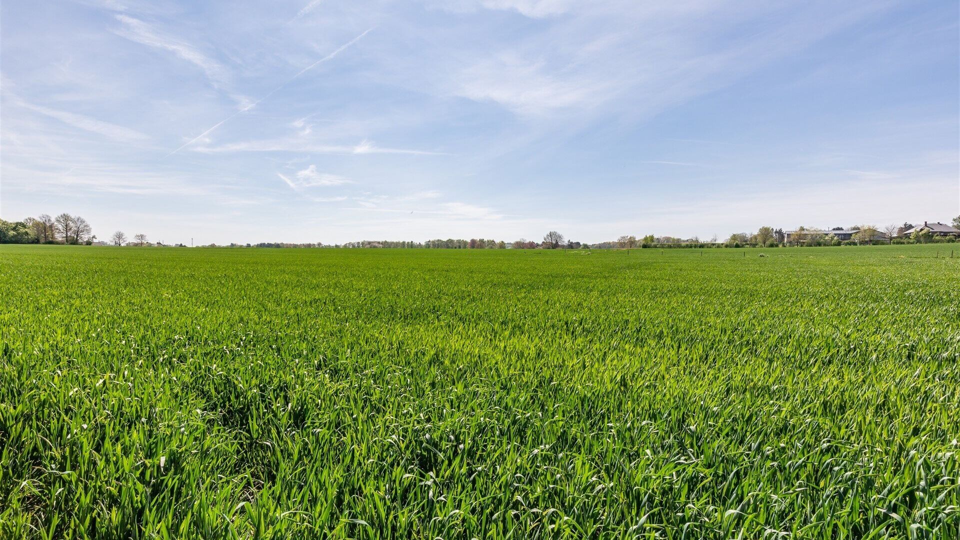 Building land for sale in HAASRODE