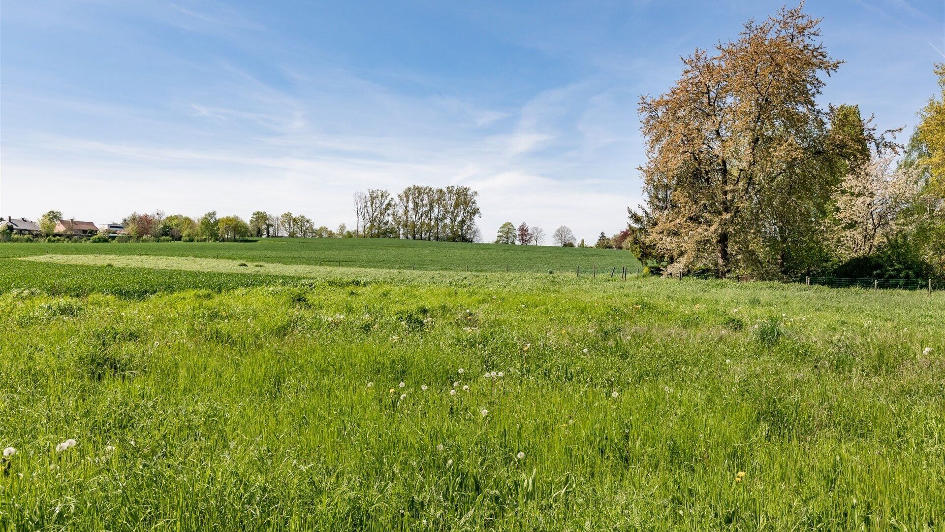 Building land for sale in HAASRODE