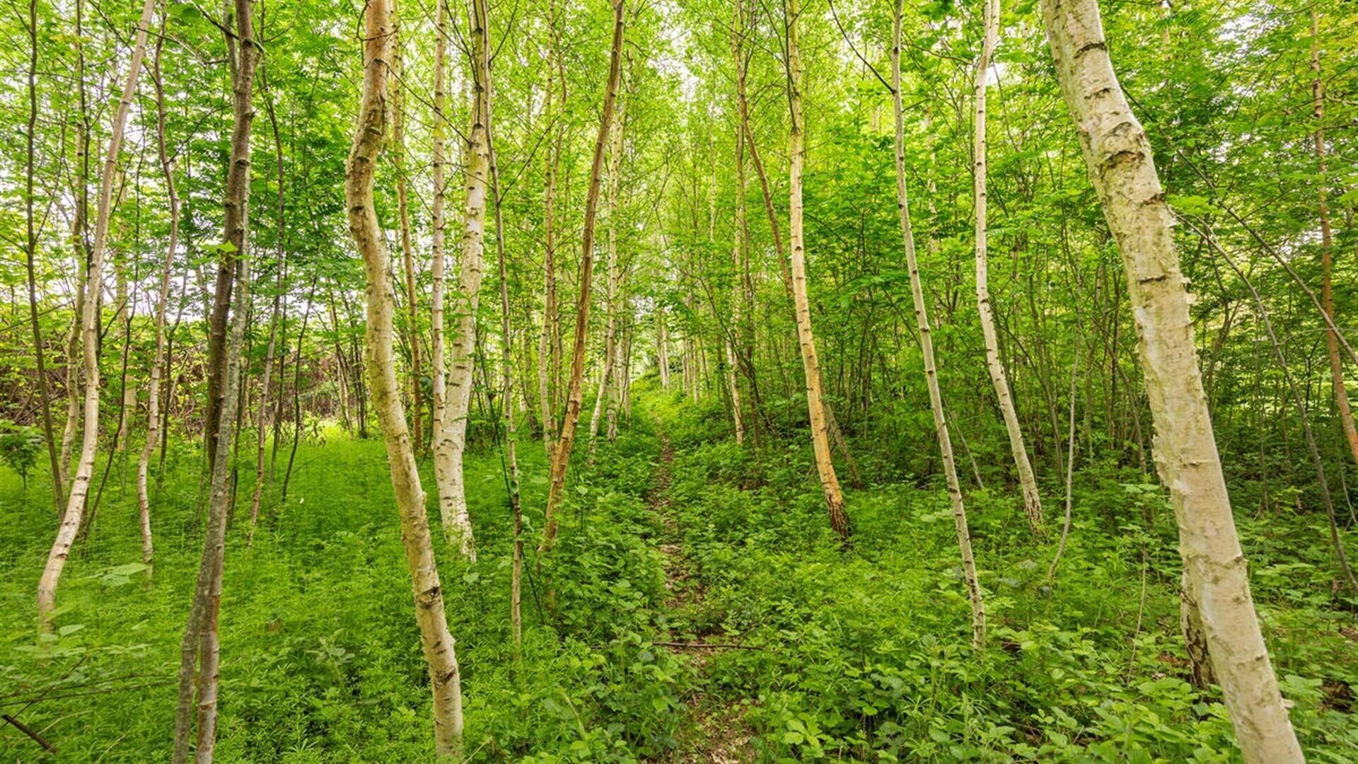 House for sale in ERPS-KWERPS