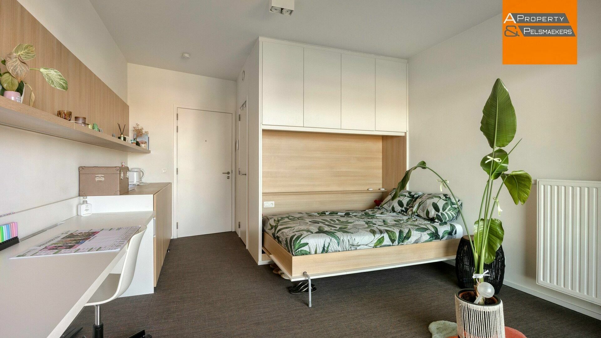 KOT/kamer te koop in Leuven