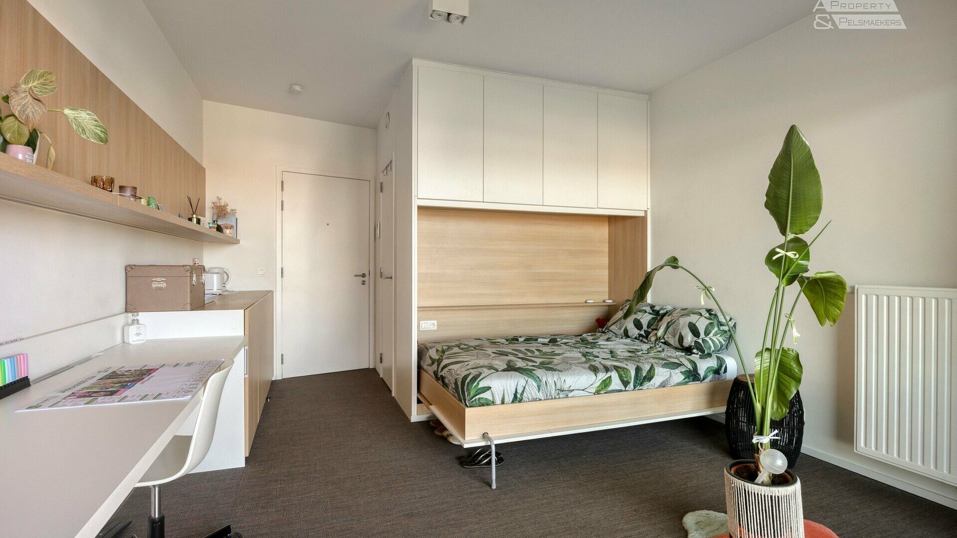 KOT/kamer te koop in Leuven