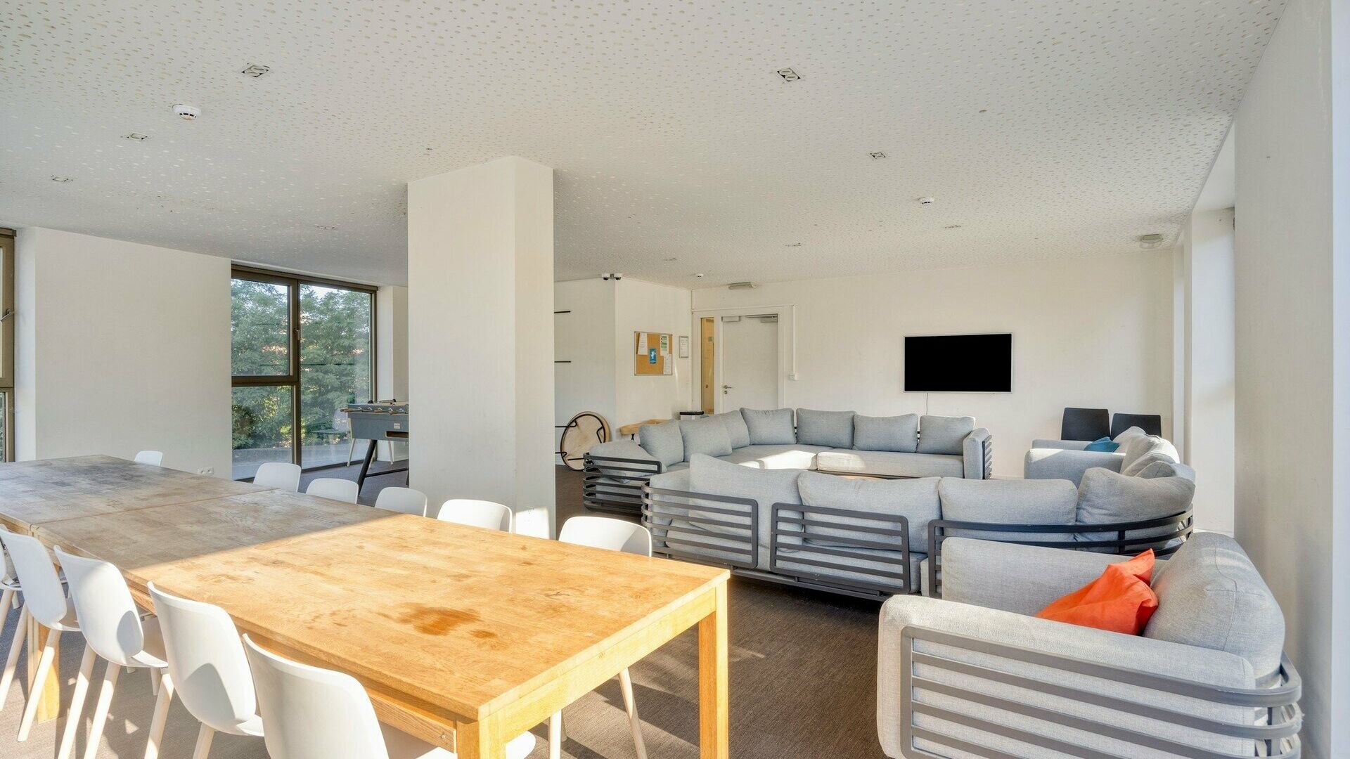 KOT/kamer te koop in Leuven