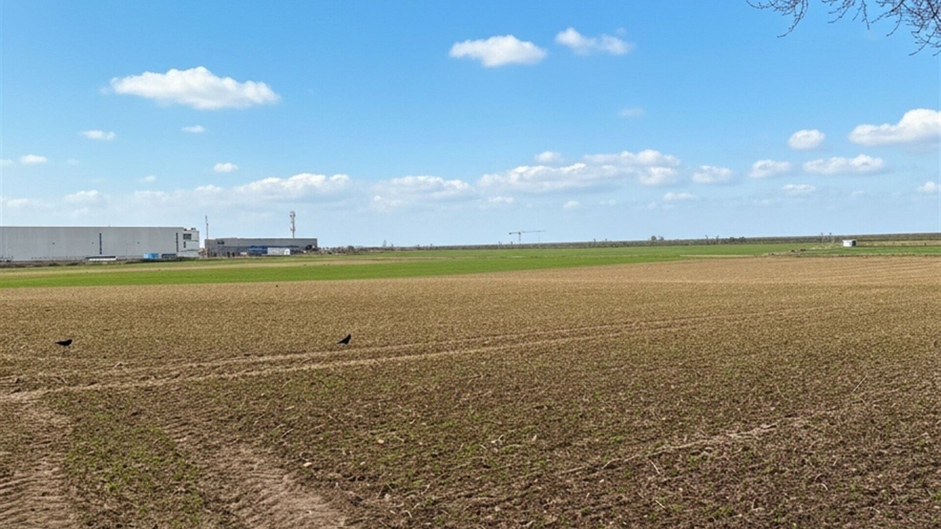Landbouwgrond te koop in KORTENBERG