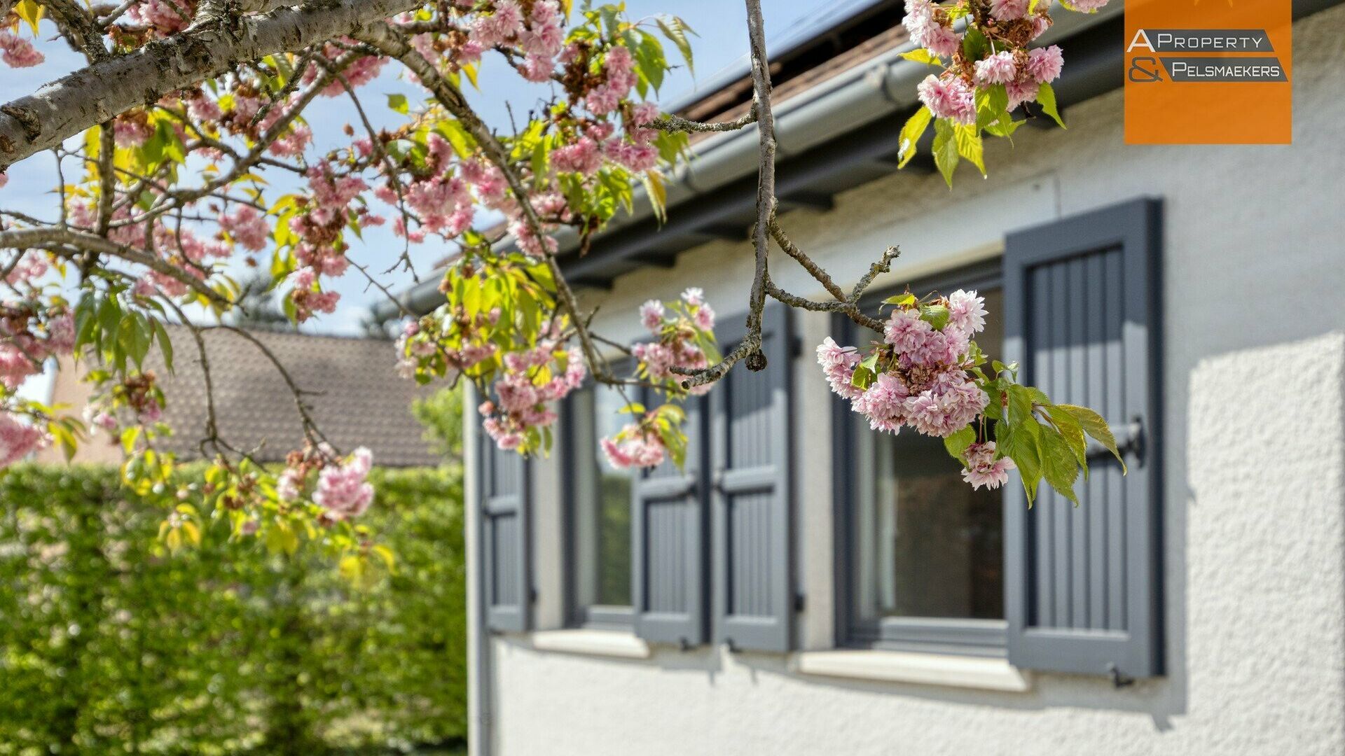 Maison &agrave; vendre &agrave; KORTENBERG