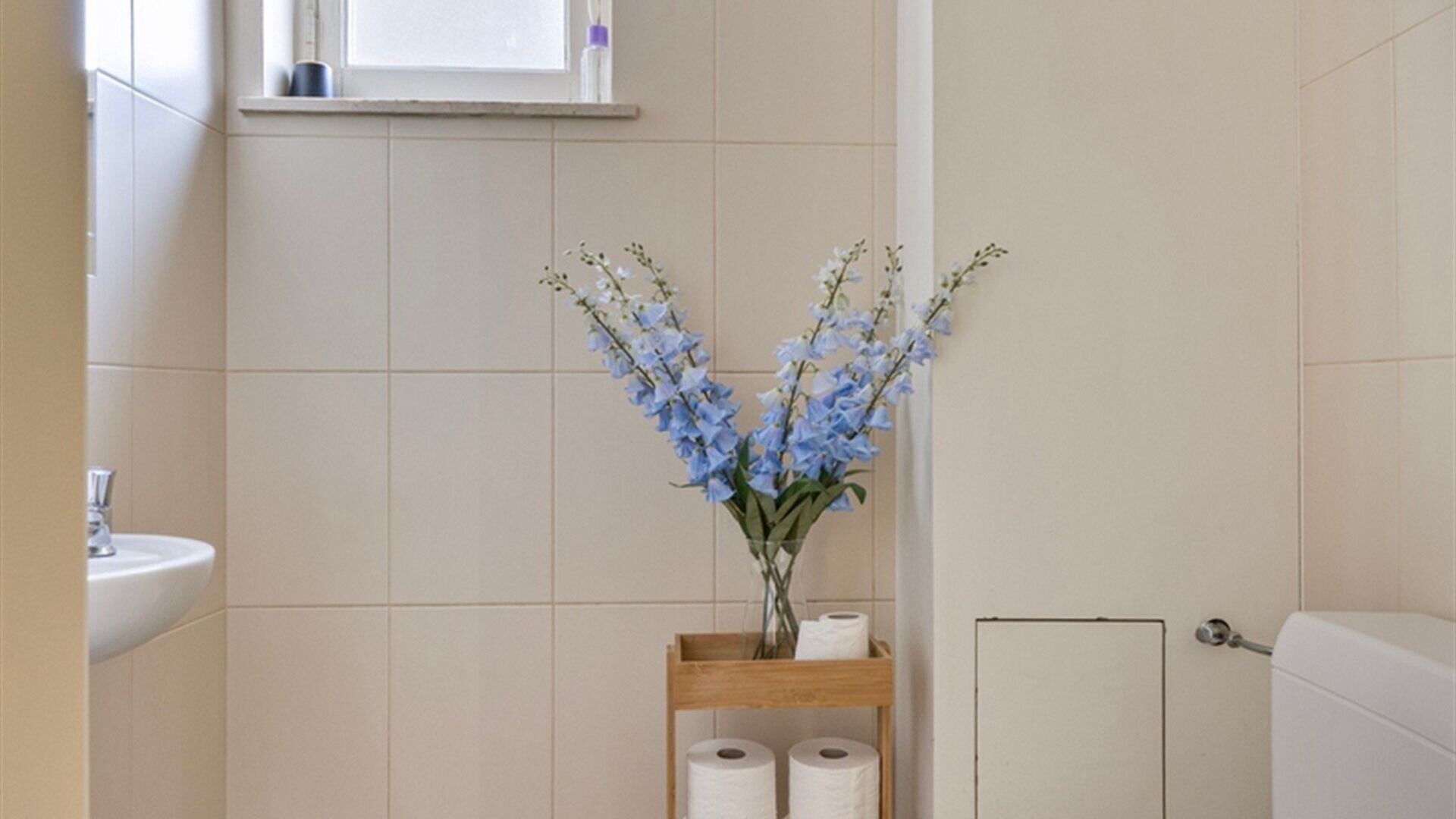 Opbrengsteigendom te koop in KRAAINEM