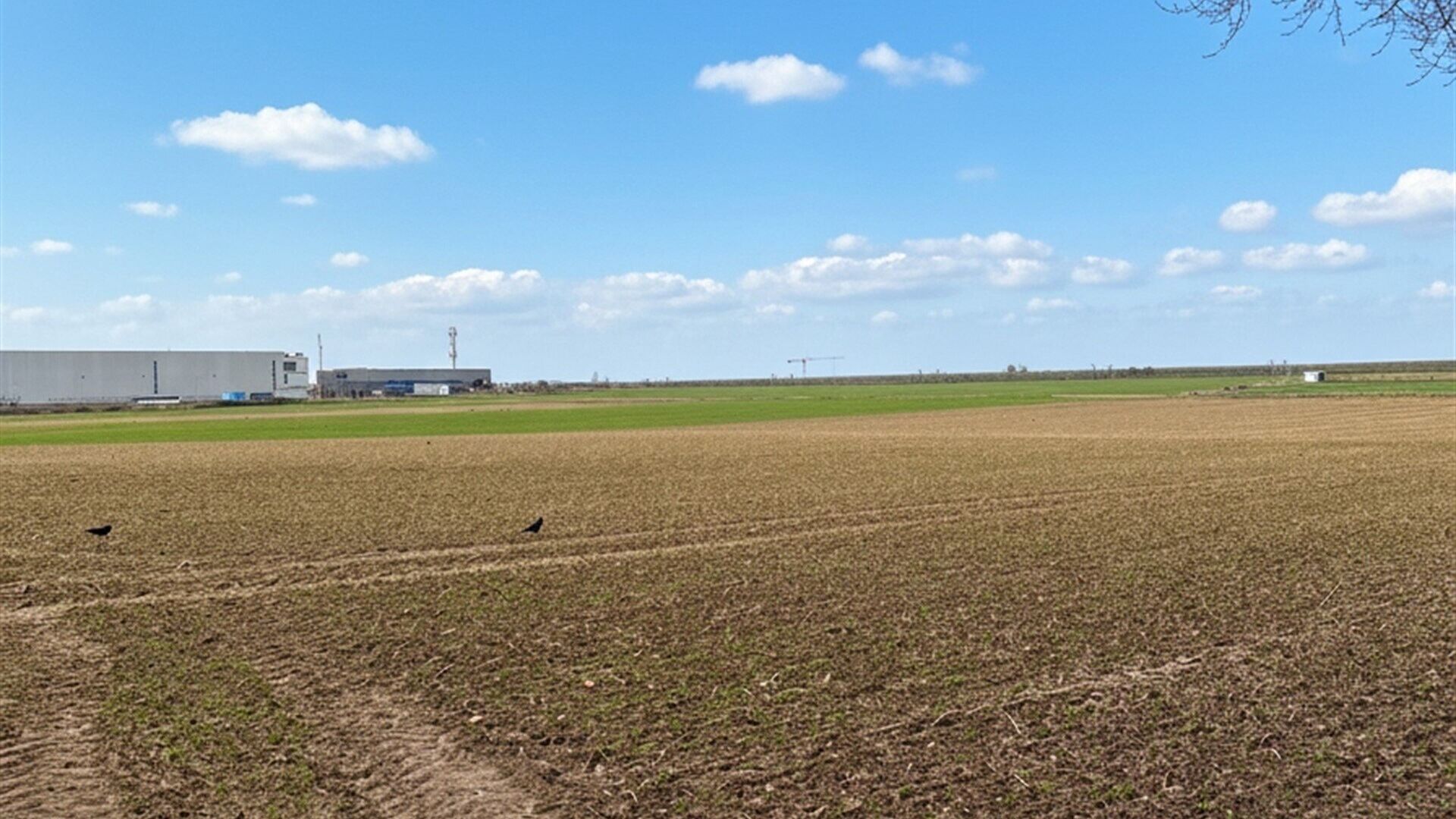 Terrains cultiv&eacute;s &agrave; vendre &agrave; KORTENBERG