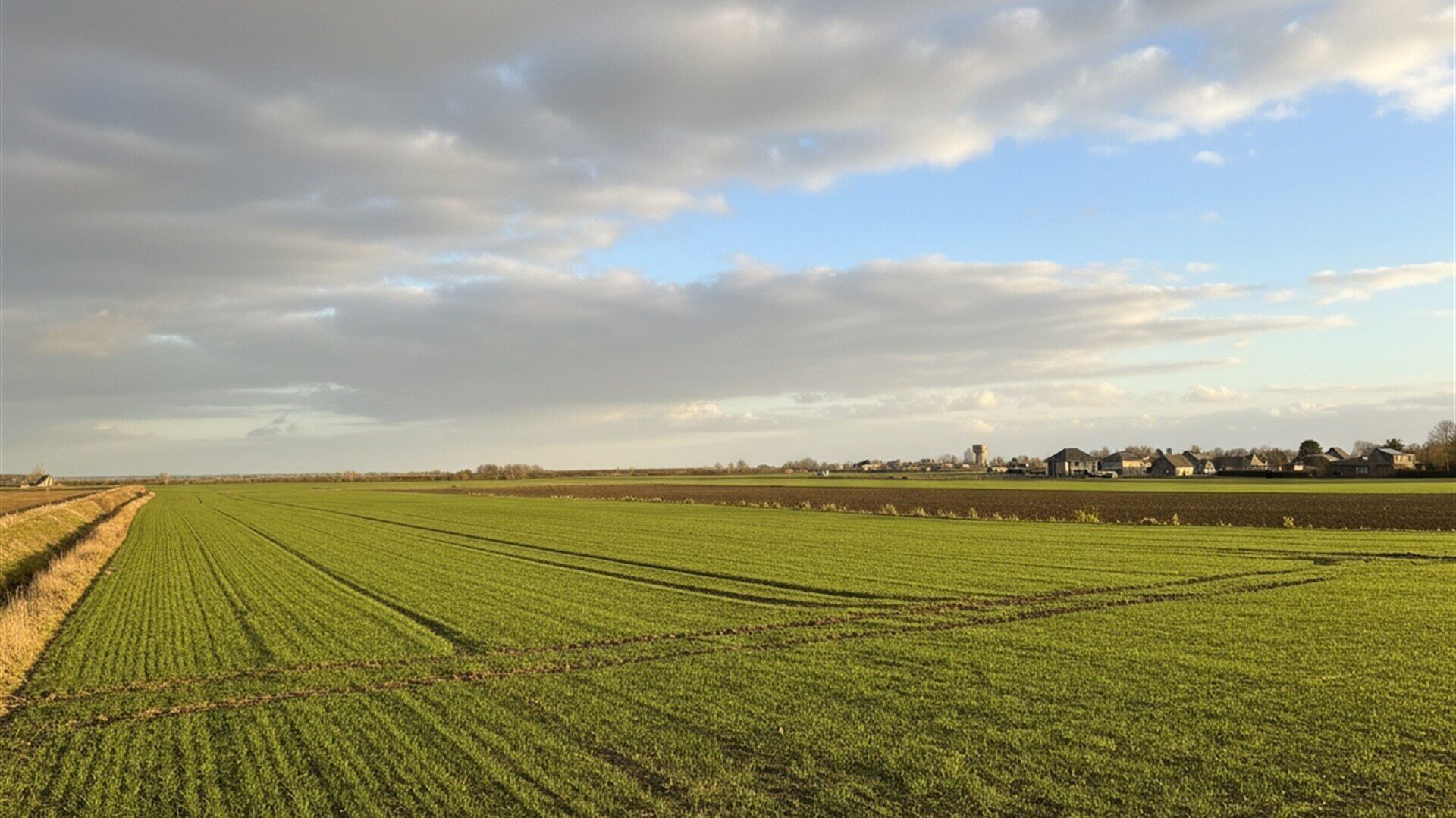 Terrains cultiv&eacute;s &agrave; vendre &agrave; KORTENBERG