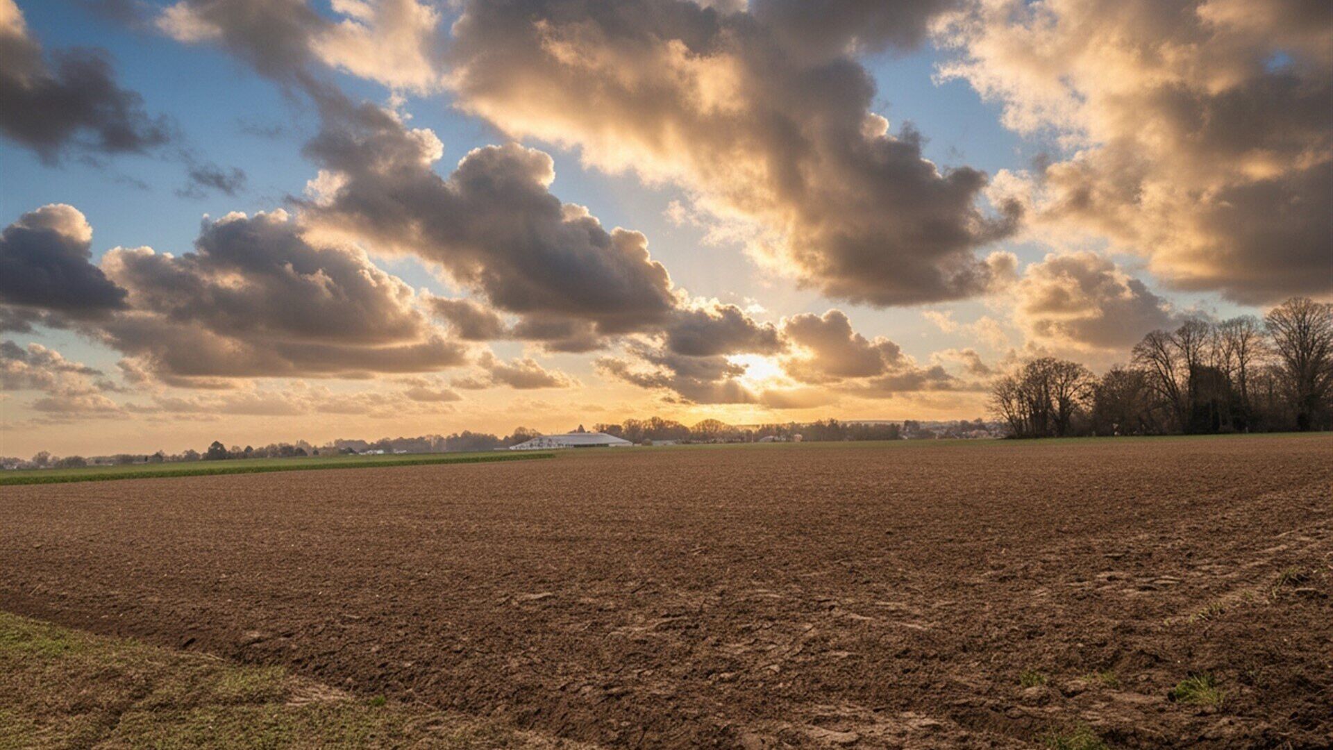 Terrains cultiv&eacute;s &agrave; vendre &agrave; 