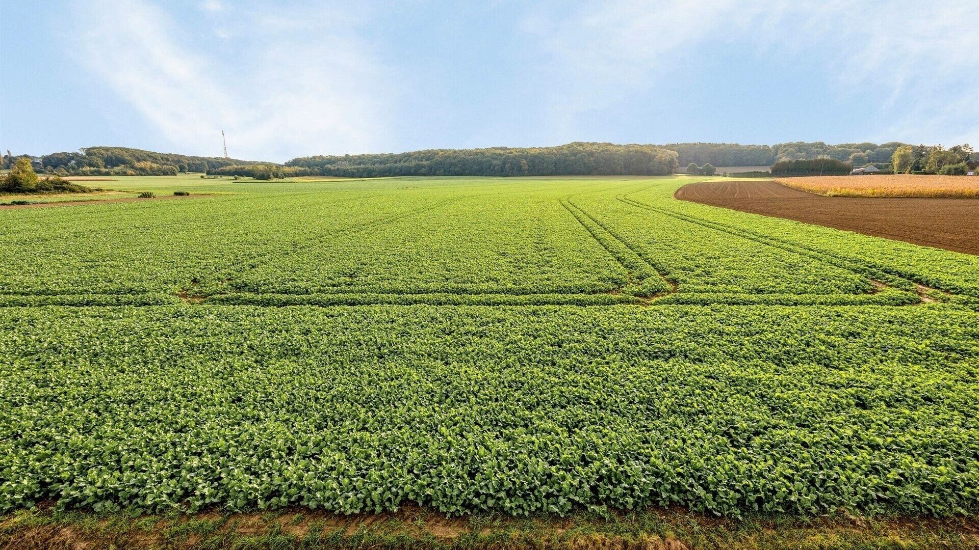 Villa te koop in MEERBEEK