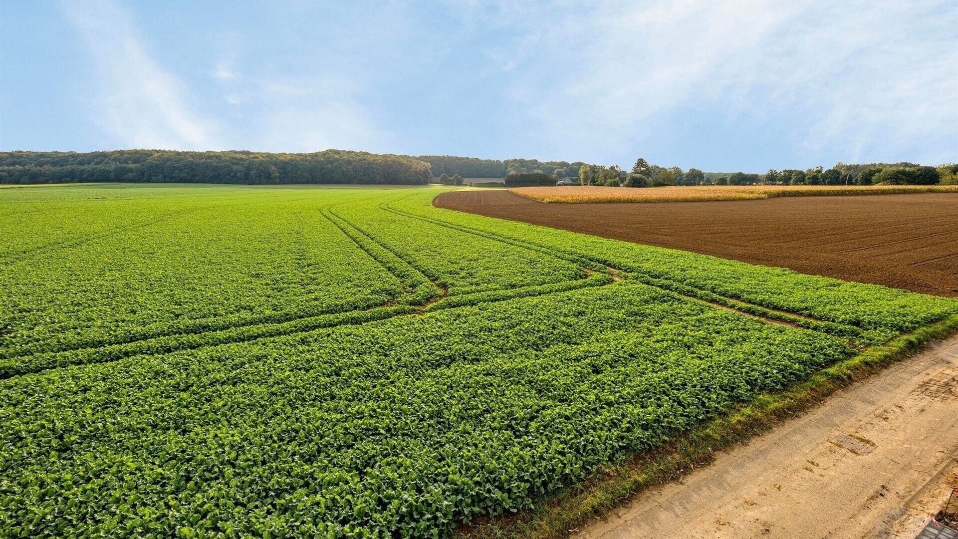 Villa te koop in MEERBEEK