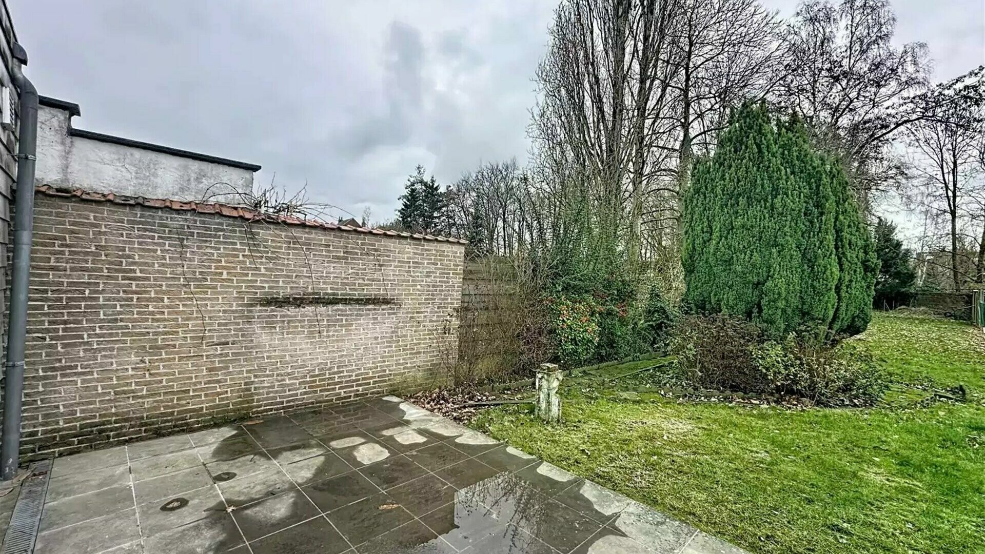 Winkelruimte te huur in KORTENBERG