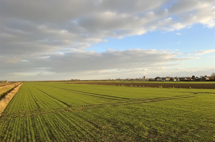Farmland for sale in KORTENBERG