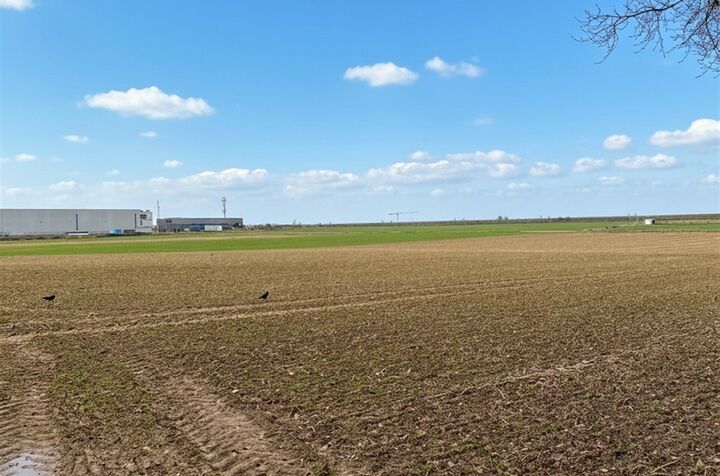 Landbouwgrond te koop in KORTENBERG